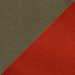 Olive croisi&egrave;re