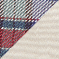 Blue/Red Multi