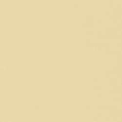 T Bird Yellow