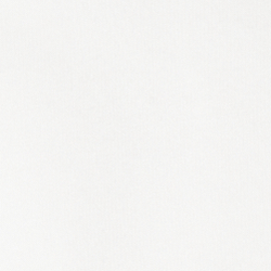Bear Paper White