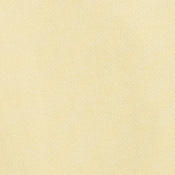 T Bird Yellow