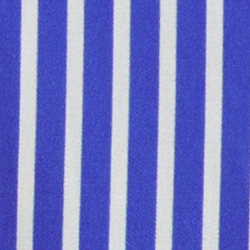 Equestrian Bear Stripe