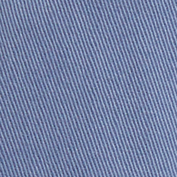 Carson Blue