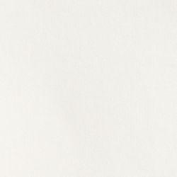 White Core Bear
