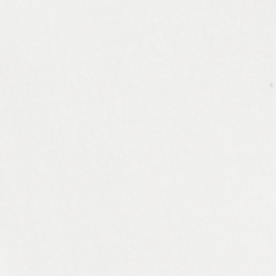 Bear Paper White