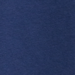 Light Navy