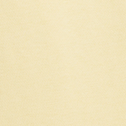 T Bird Yellow