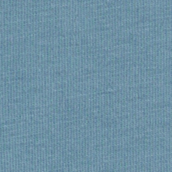 베어 캠프 블루