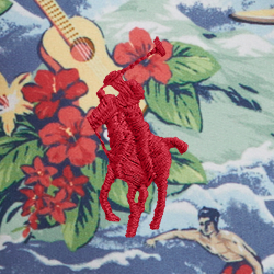 Surf Scenic Print