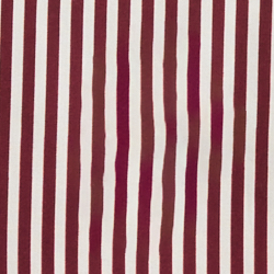 Bear Stripe