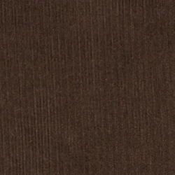 Nutmeg Brown