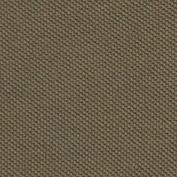 Cruise Olive