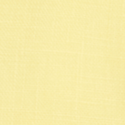 Summer Yellow