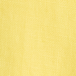 Summer Yellow