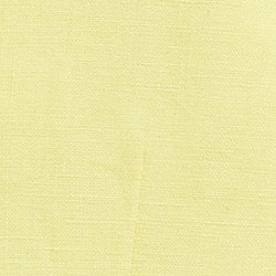 Summer Yellow