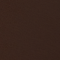 Luggage Brown