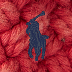 Chili Pepper