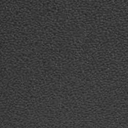 Polo Black