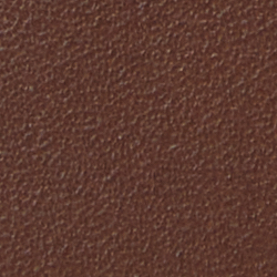 Chestnut Brown