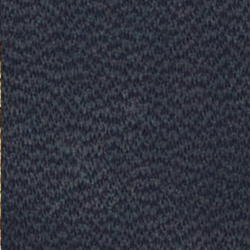 Newport Navy