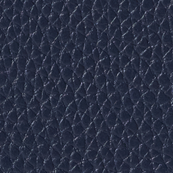 Navy Multi