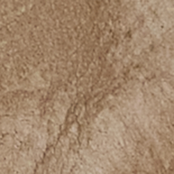 Dark Tan