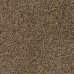Dark Taupe