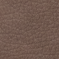 Luggage Brown
