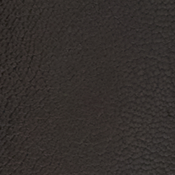 Luggage Brown