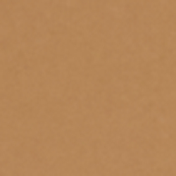 Camel/Lauren Tan