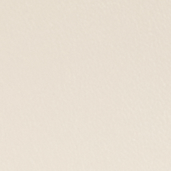 Explorer Sand