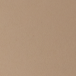 Birch Tan/White