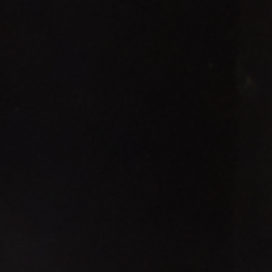 Black/Lauren Tan