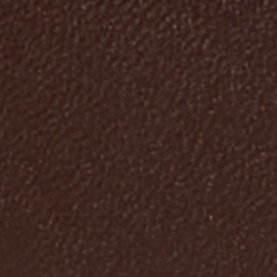 Dark Hickory