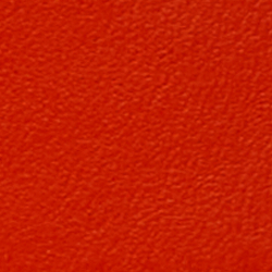 Giglio arancio