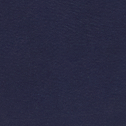 Edles Navy/Lauren-Sandbr.