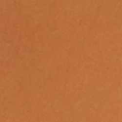 Breiter Gürtel aus Vachetteleder