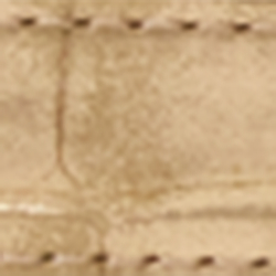 Platinum/Sand Dune