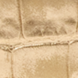 Platinum/Sand Dune