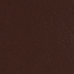 Chestnut Brown