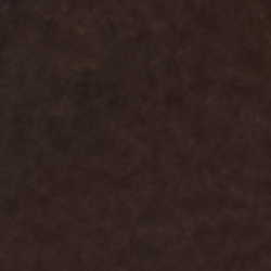 Chestnut Brown