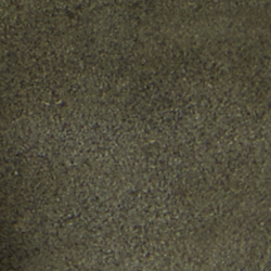 Dark Olive