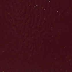 Dark Garnet