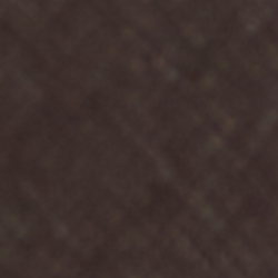Camel/Chestnut Brown