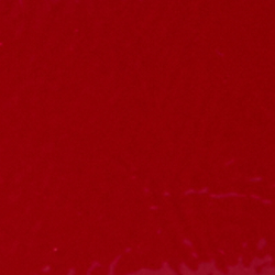 Festive Red/Refined Navy