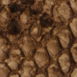 Tan Multi