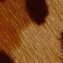 Modern Leopard/Chestnut