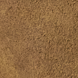 Pale Russet