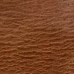 Saddle Brown