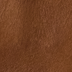 Saddle Brown